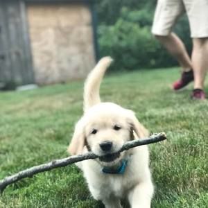 Meet your Posher, Margaret